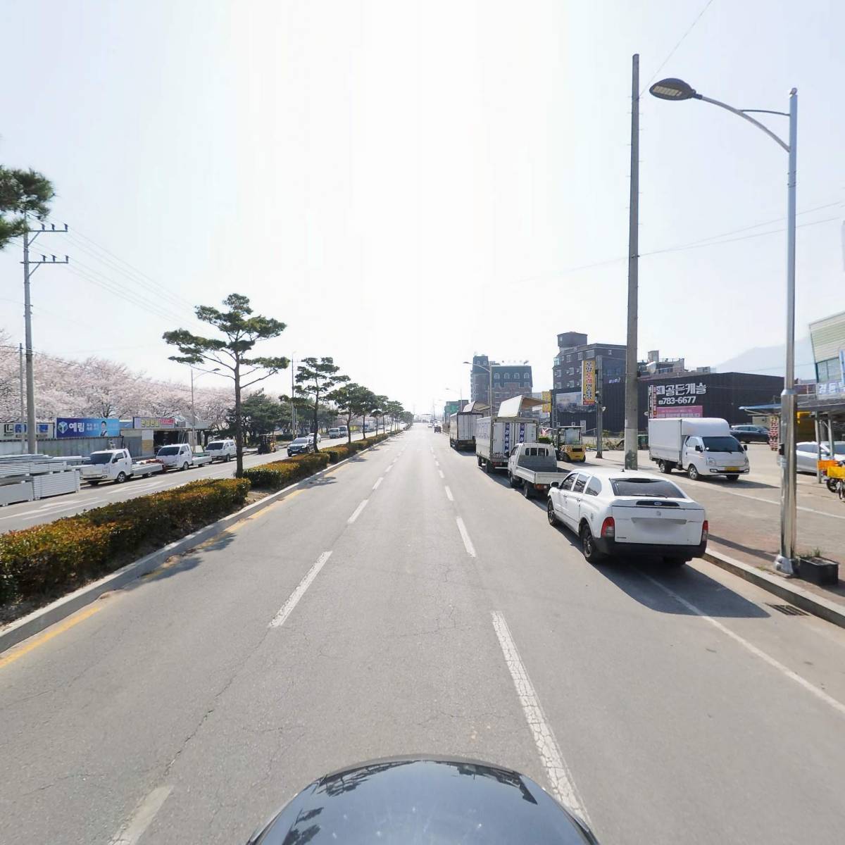 구례군당구연맹_4