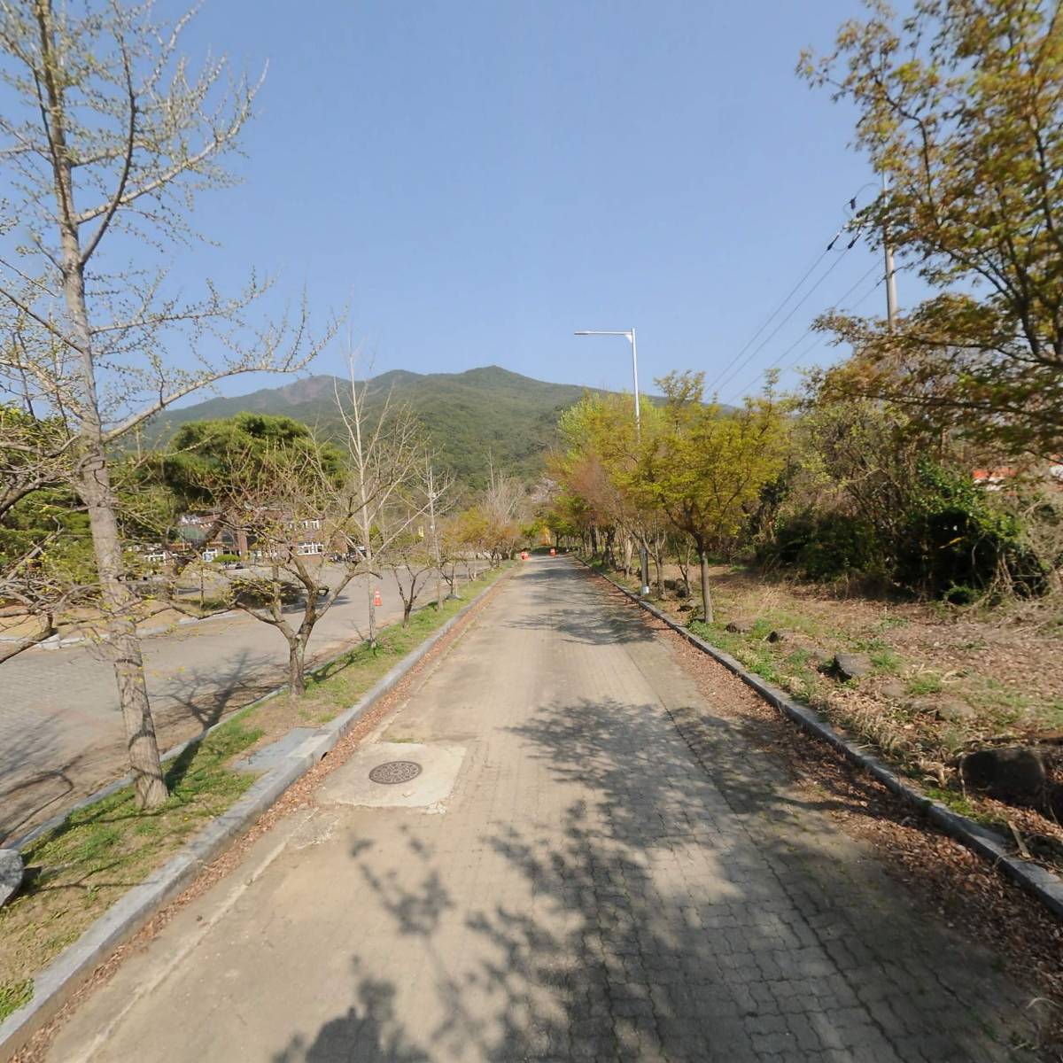 구례군임업후계자협회_2