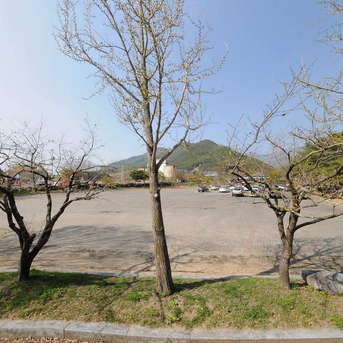 구례군임업후계자협회