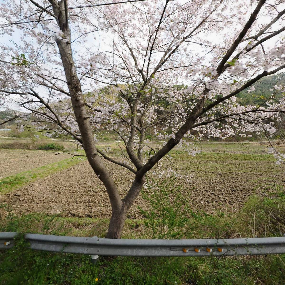 （주）보라종합식품