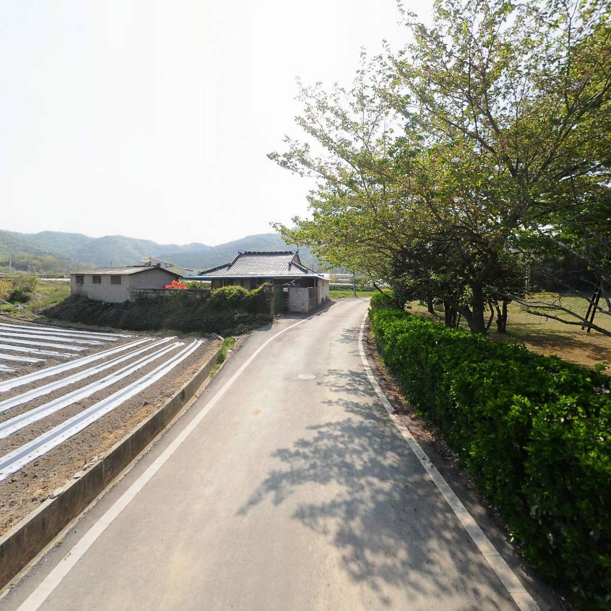 금안동 쌍계정_2