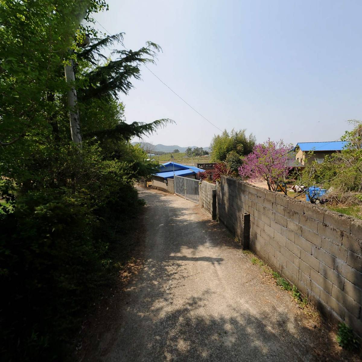대한불교조계종무량사_2