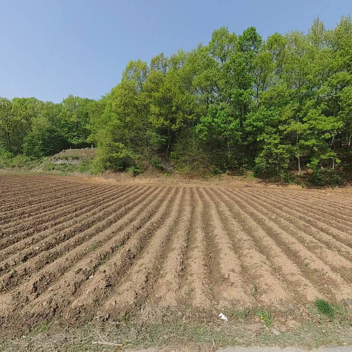 농업회사법인(주)코리아피트