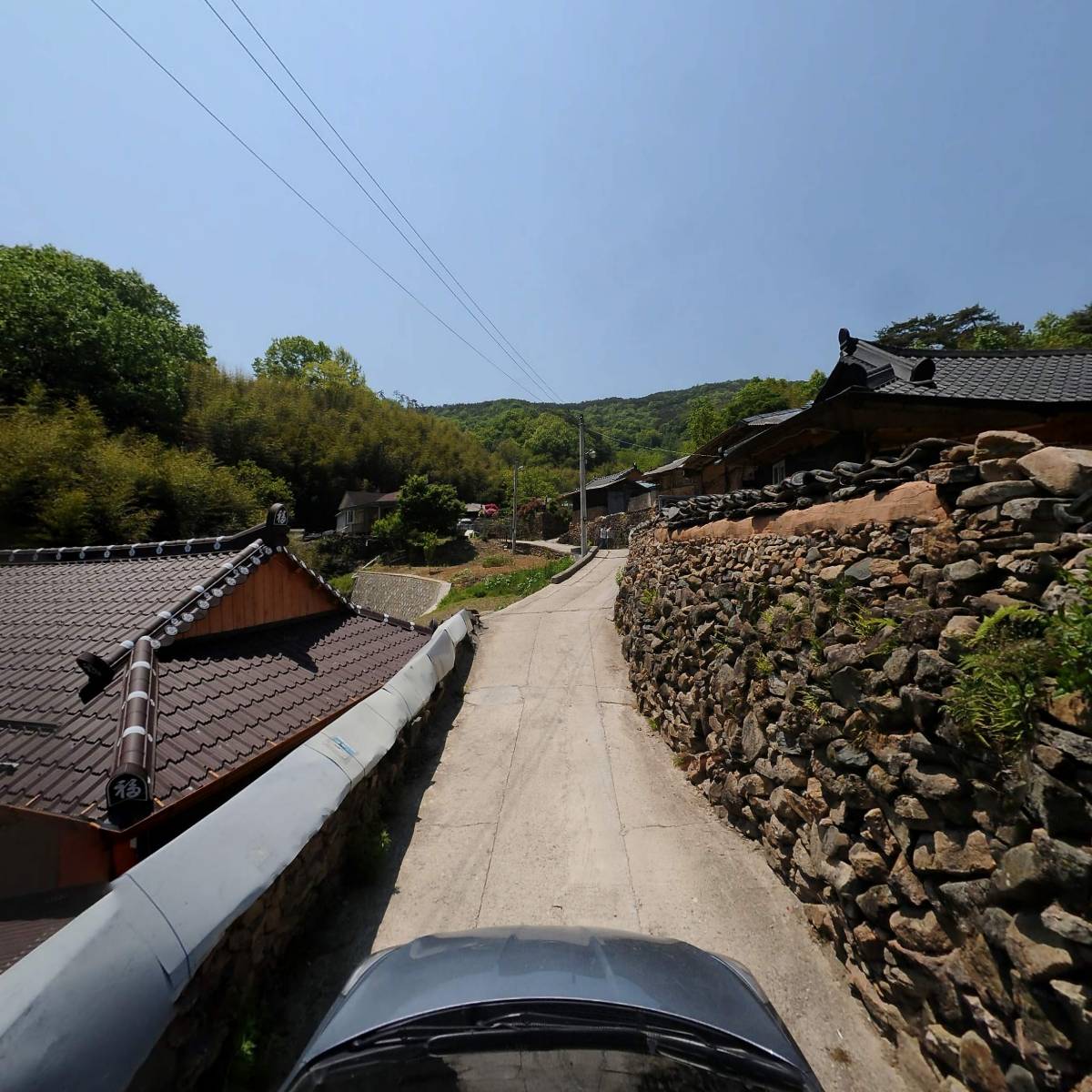 인셀덤창포물결_4
