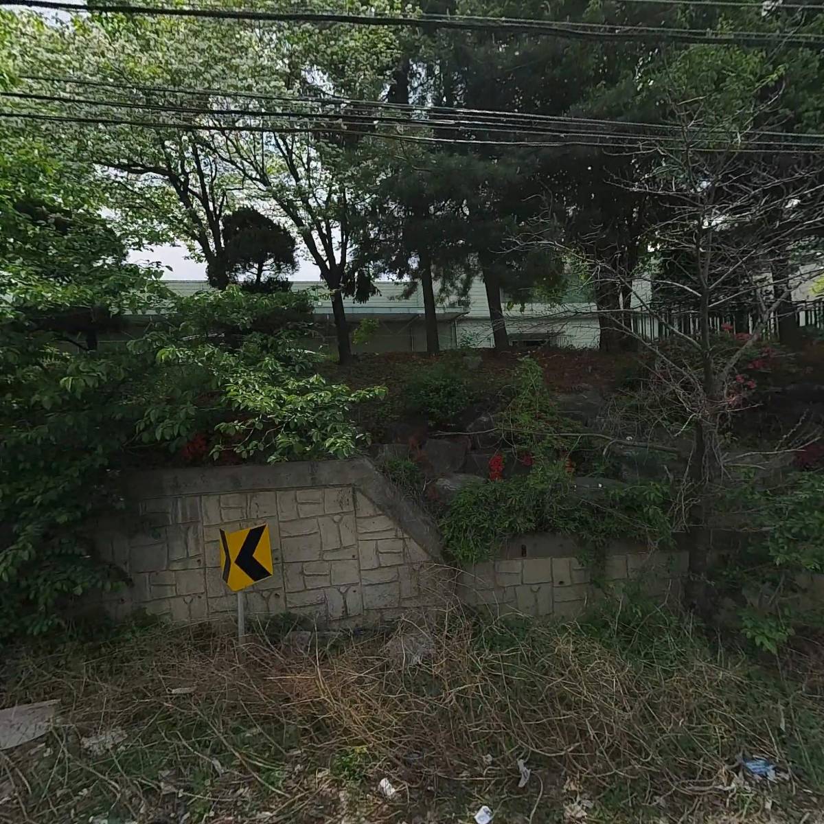 금성상사