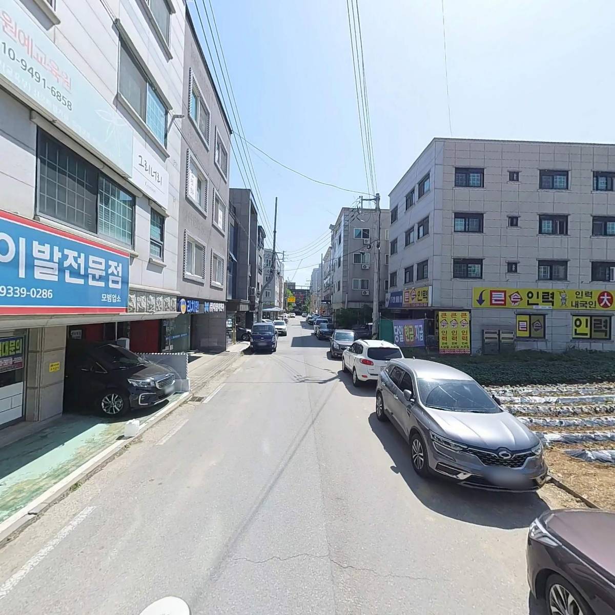 앨리스가든_2