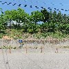 대한냉동