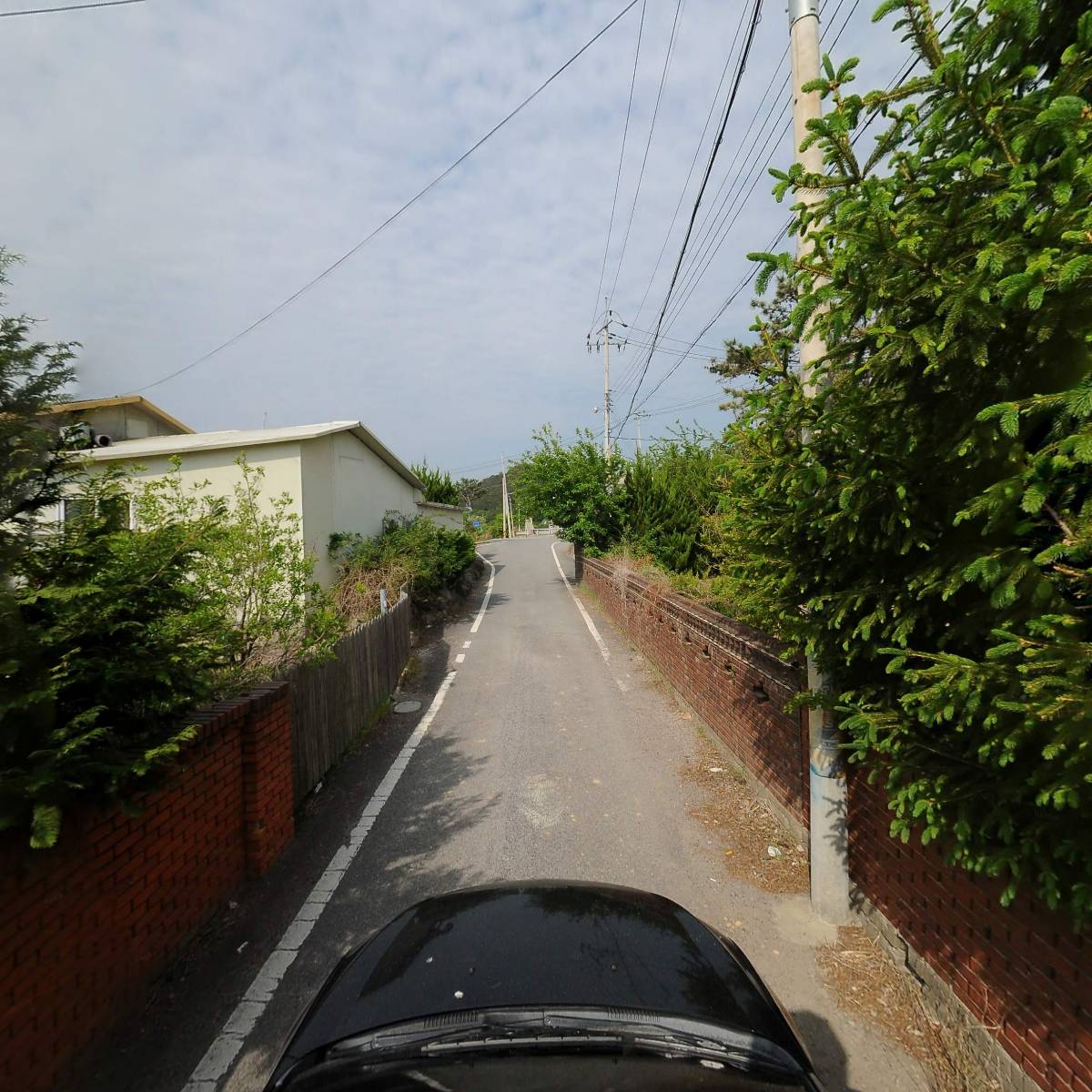 미강_4