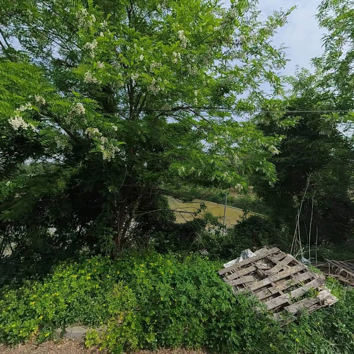 이엘티