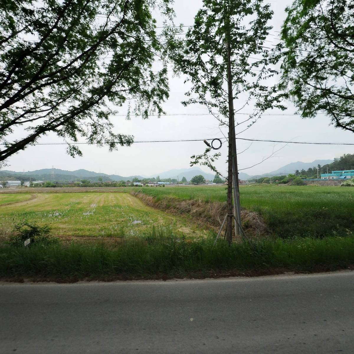 밀밀(담양점)_3