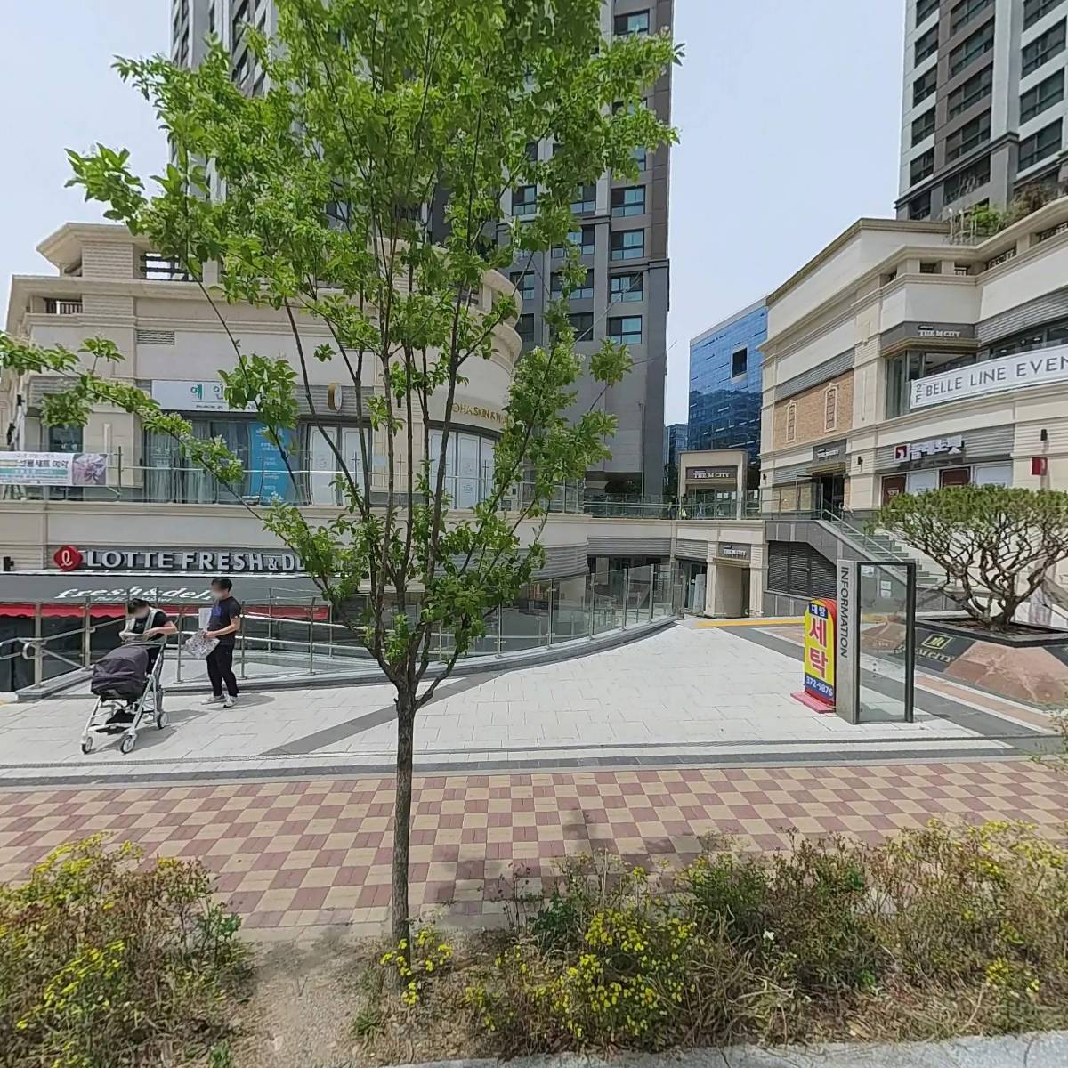 리제라(LIGERA)