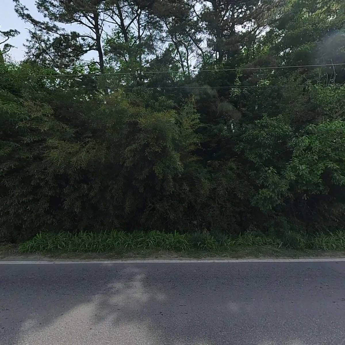 부영모방_3
