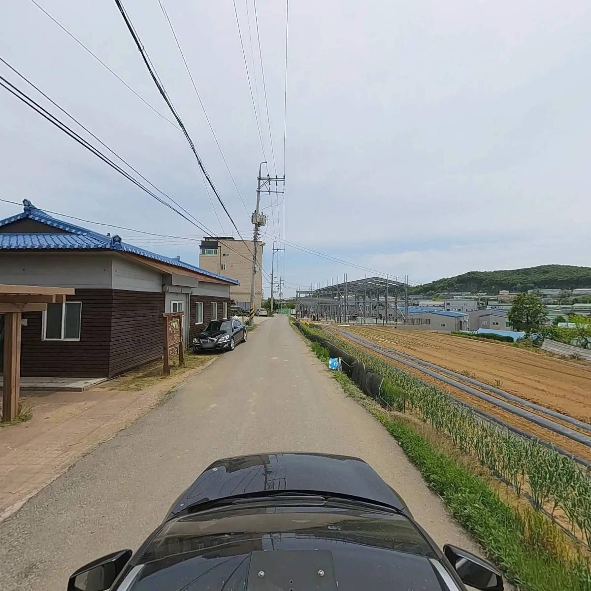 은행나무정보화마을_4