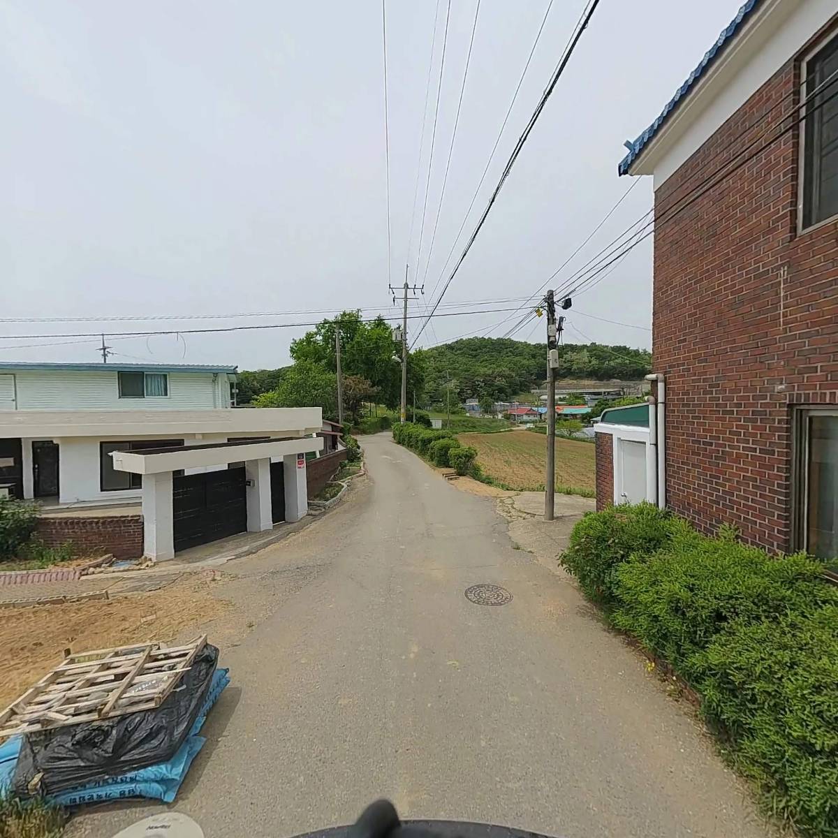 은행나무정보화마을_2