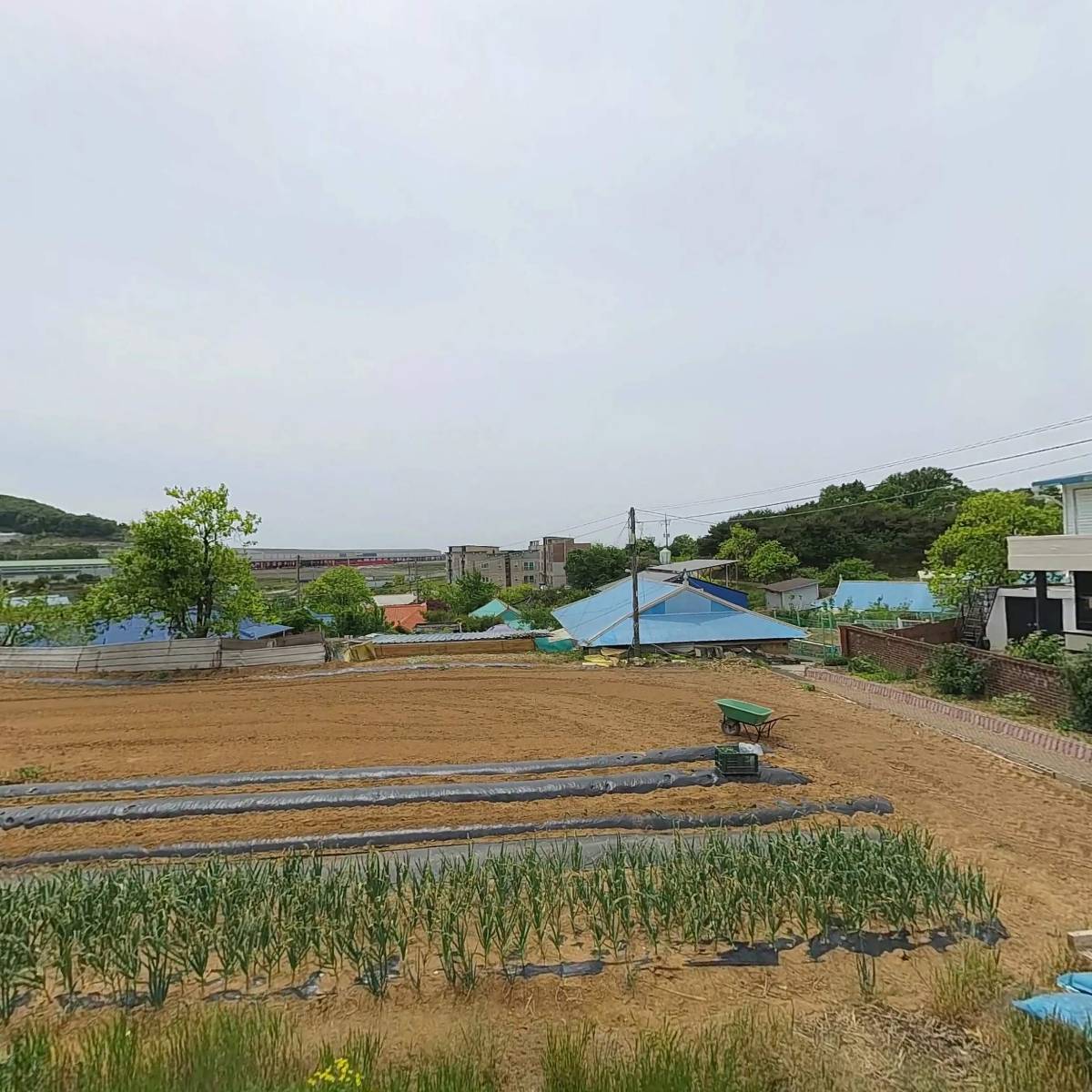은행나무정보화마을