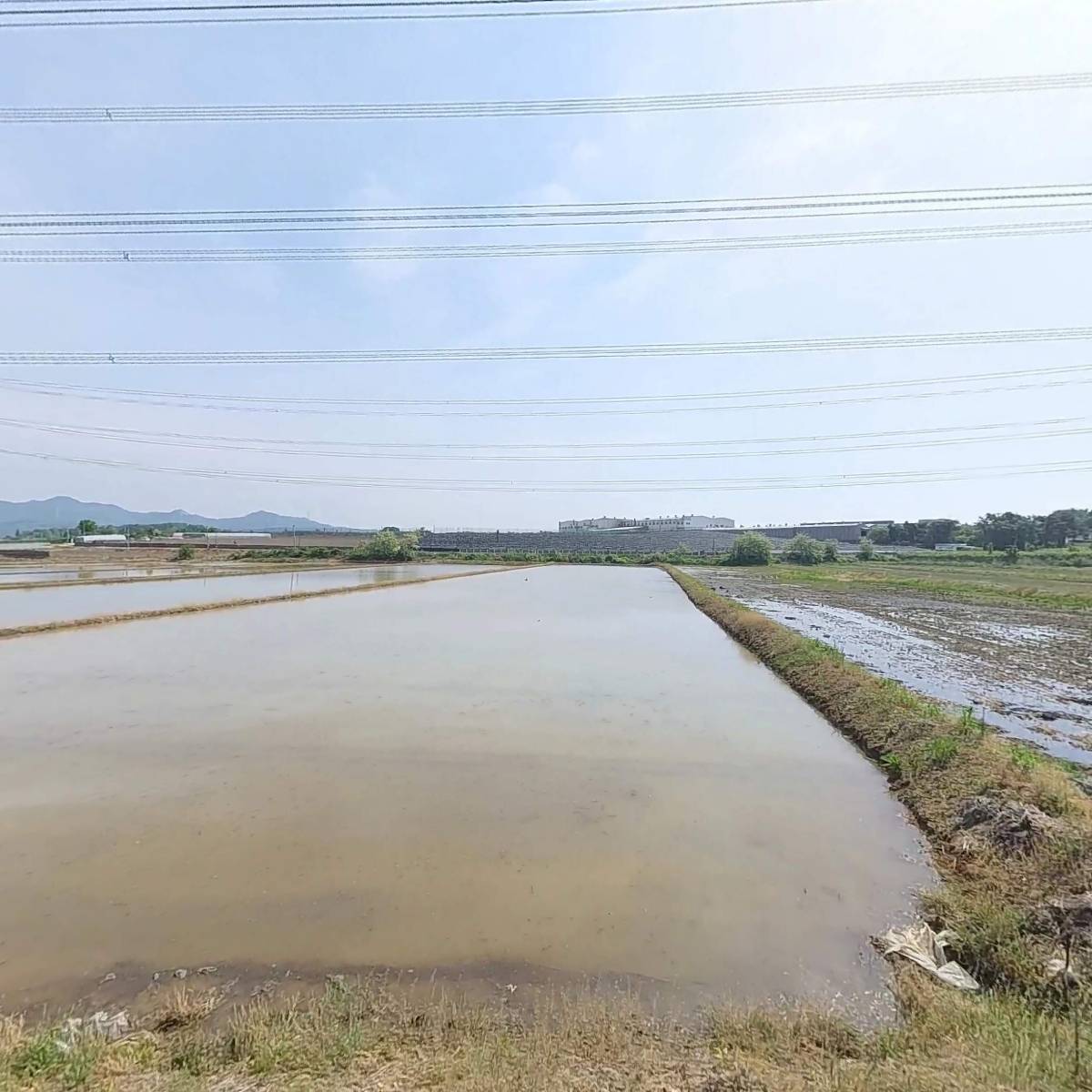 대명포장