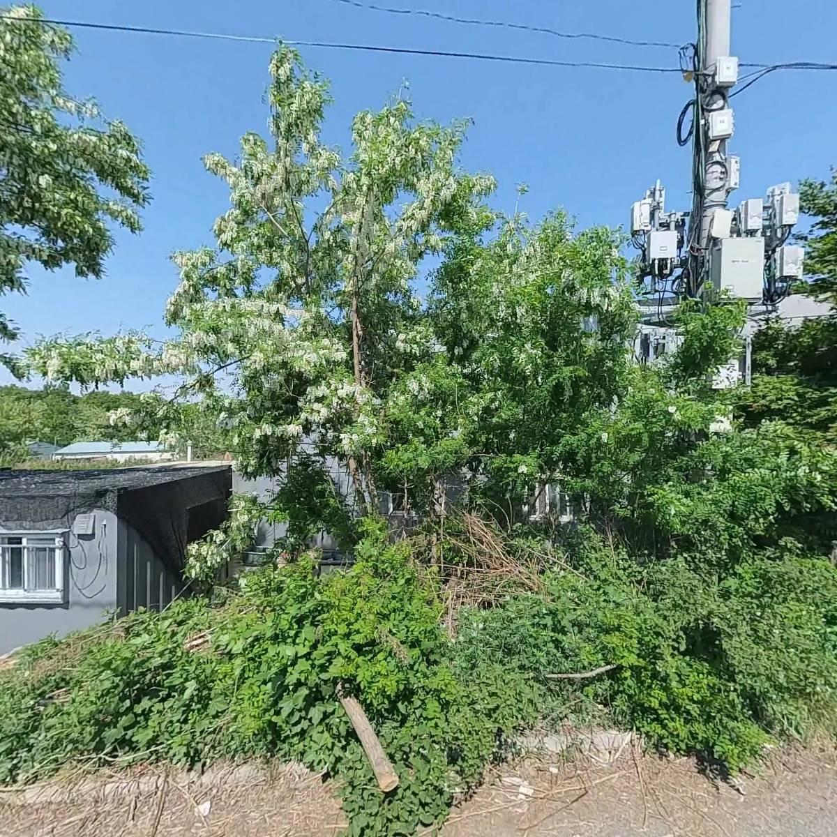 가온한식뷔페