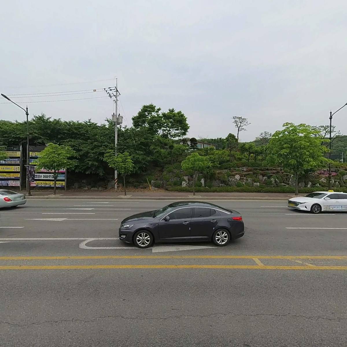 샐리드마리(샐리웨딩 천안)_3