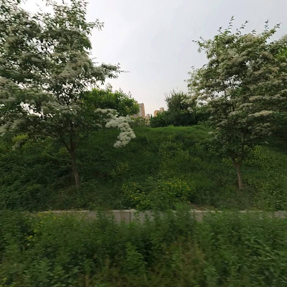 부천목장