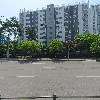 용인대 마루한 태권도_3
