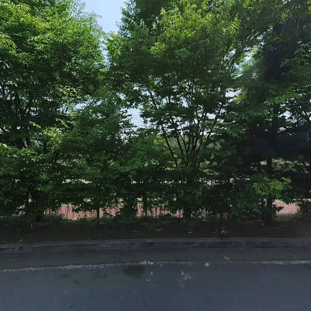 자동차마을_3