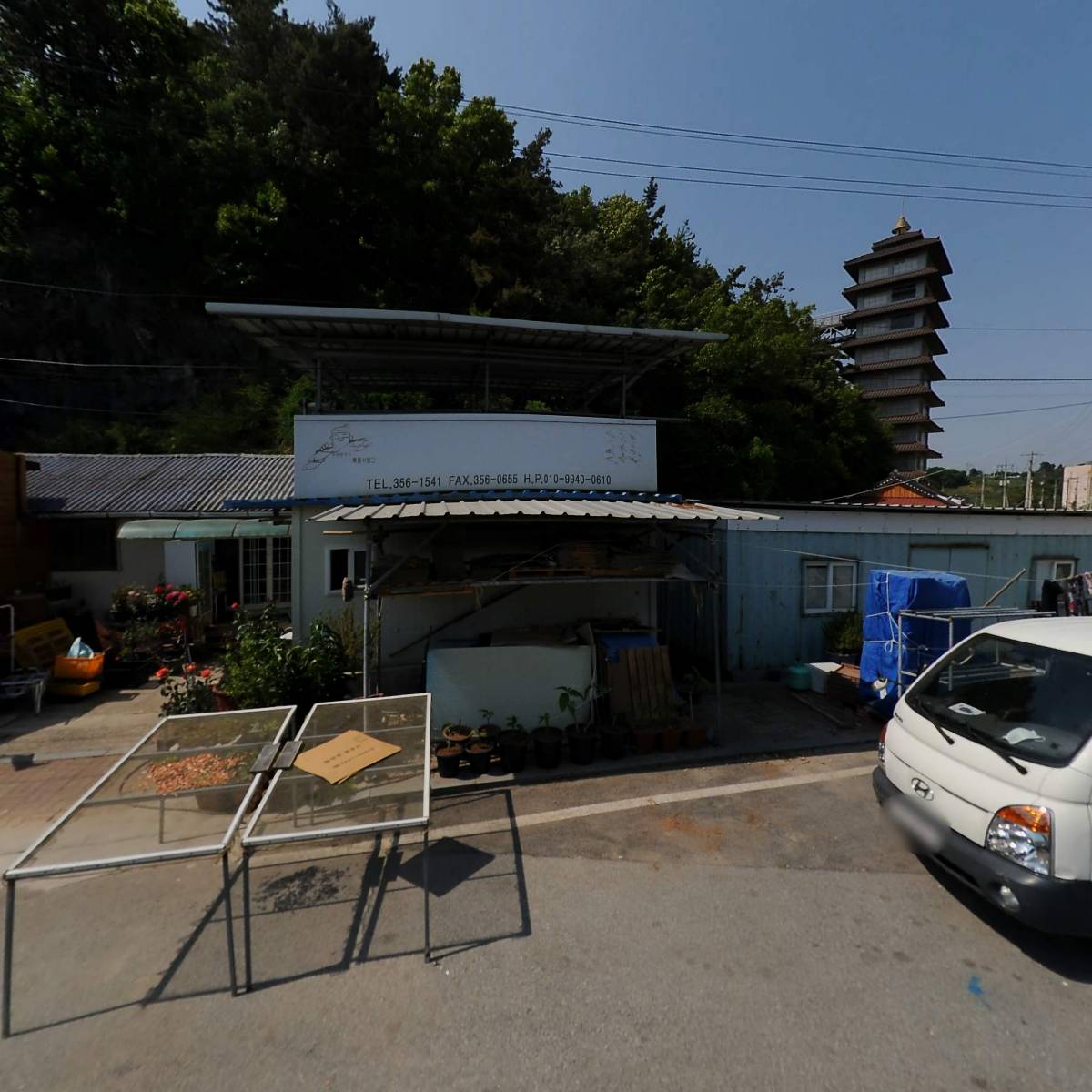 서영굴비