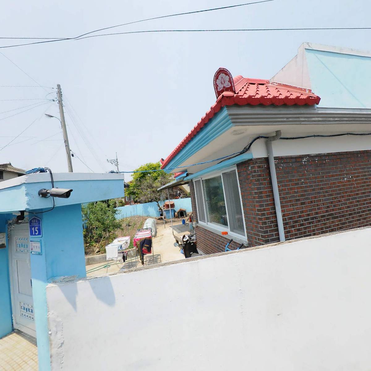 코지 펫