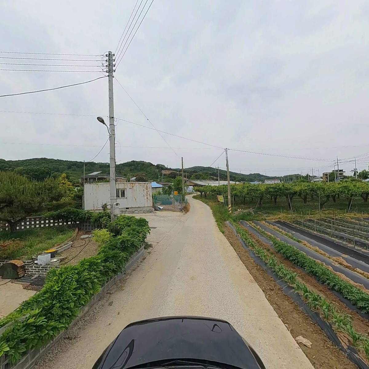 커피와소나무&청년피자 음봉점_4