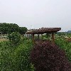 민들레카페