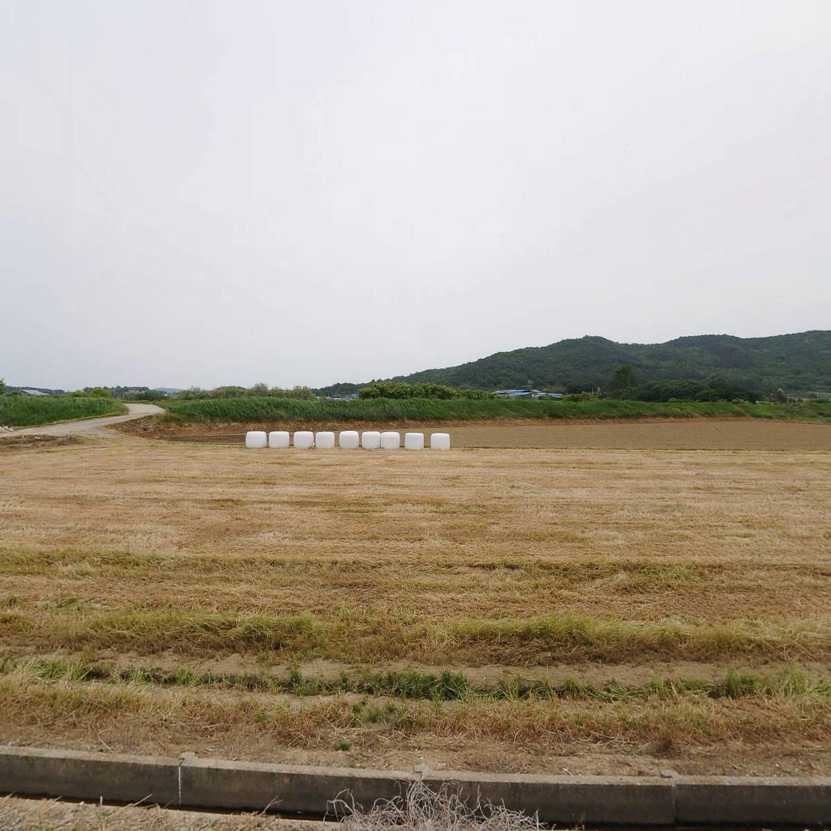 호남원예자재