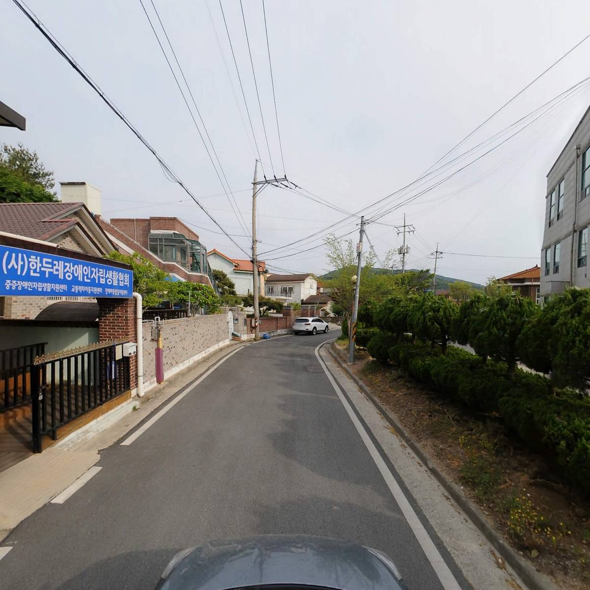 고창군장애인배구협회_4
