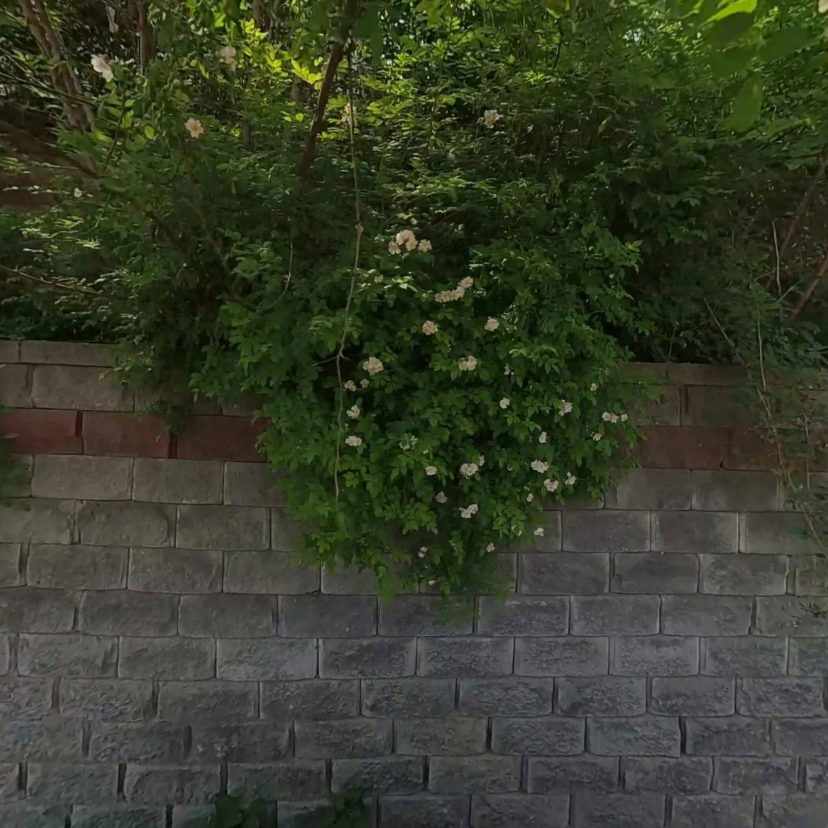 （주）삼양글로벌