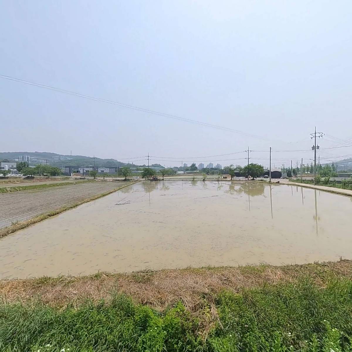 (주)예예컴퍼니