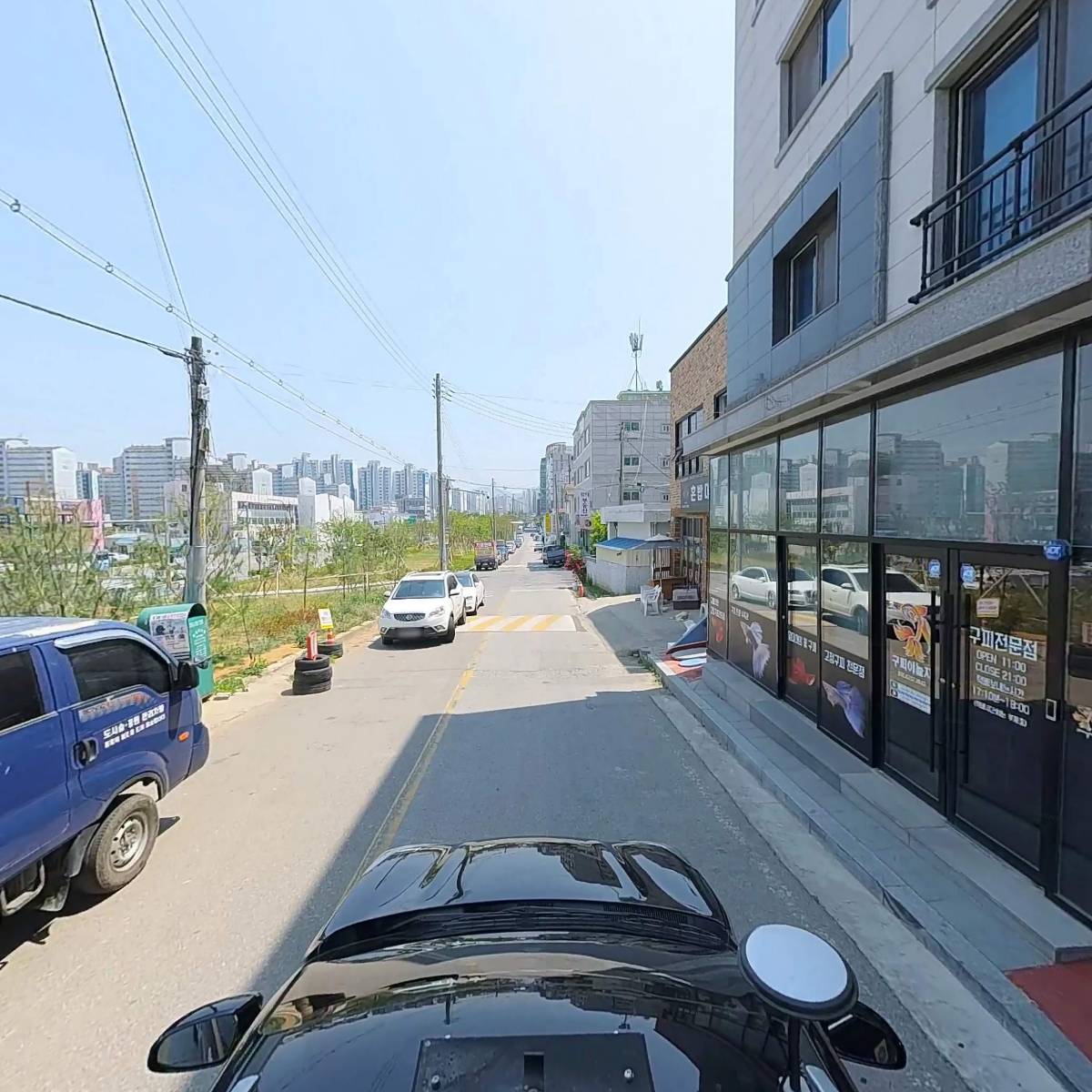 구피야 놀자_4