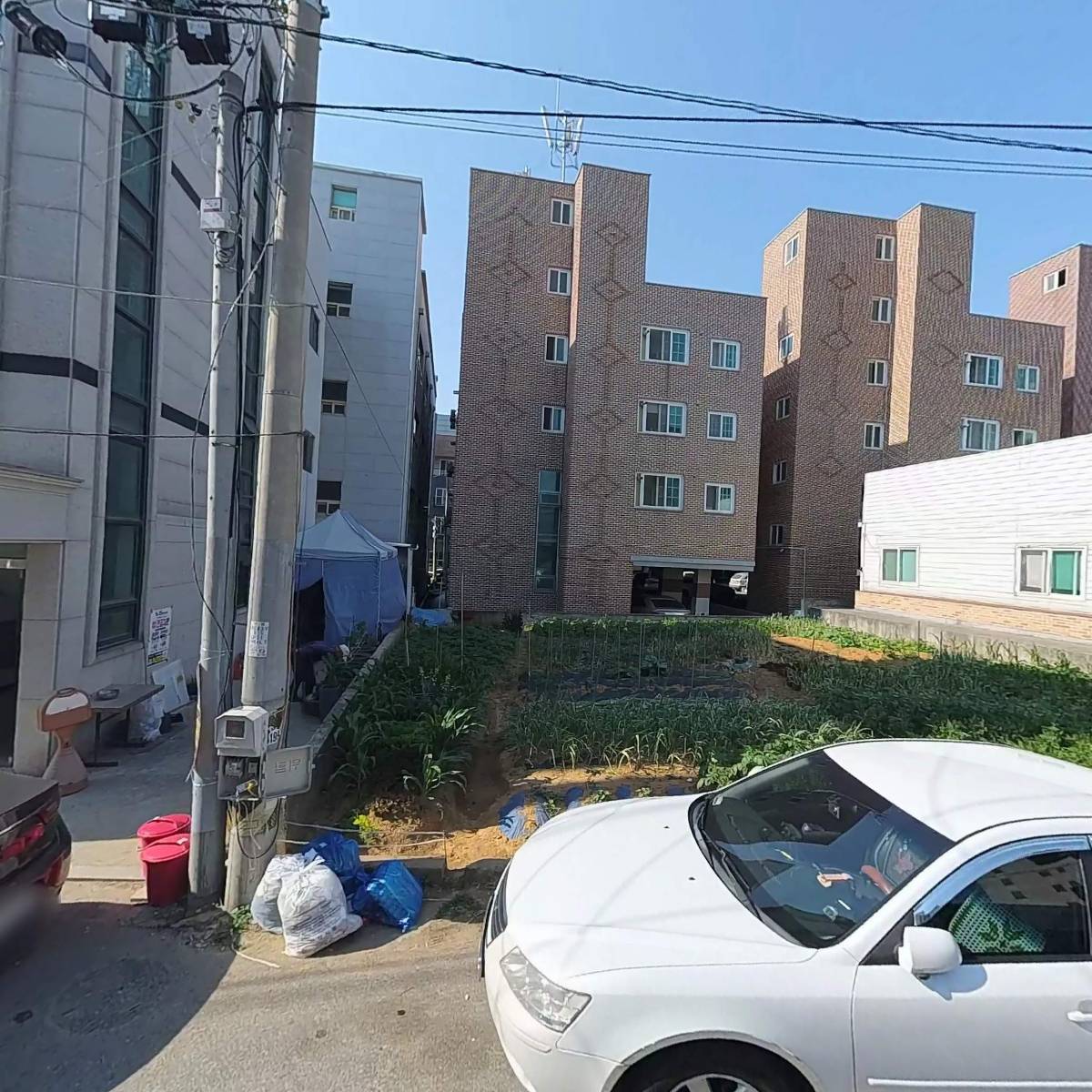 (주)푸른숲조경