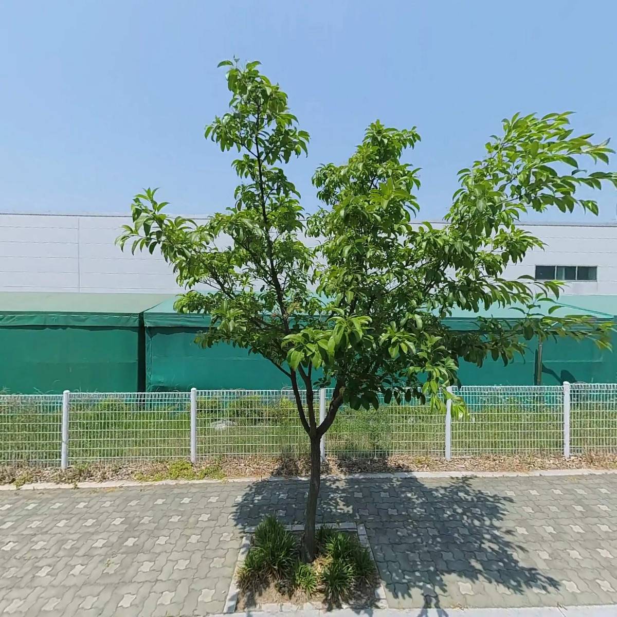 주식회사 로슐링오토모티브아산
