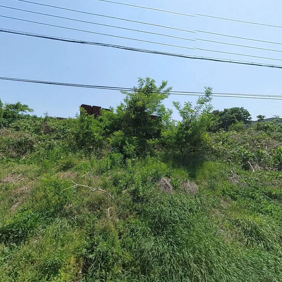 미래씽크_3
