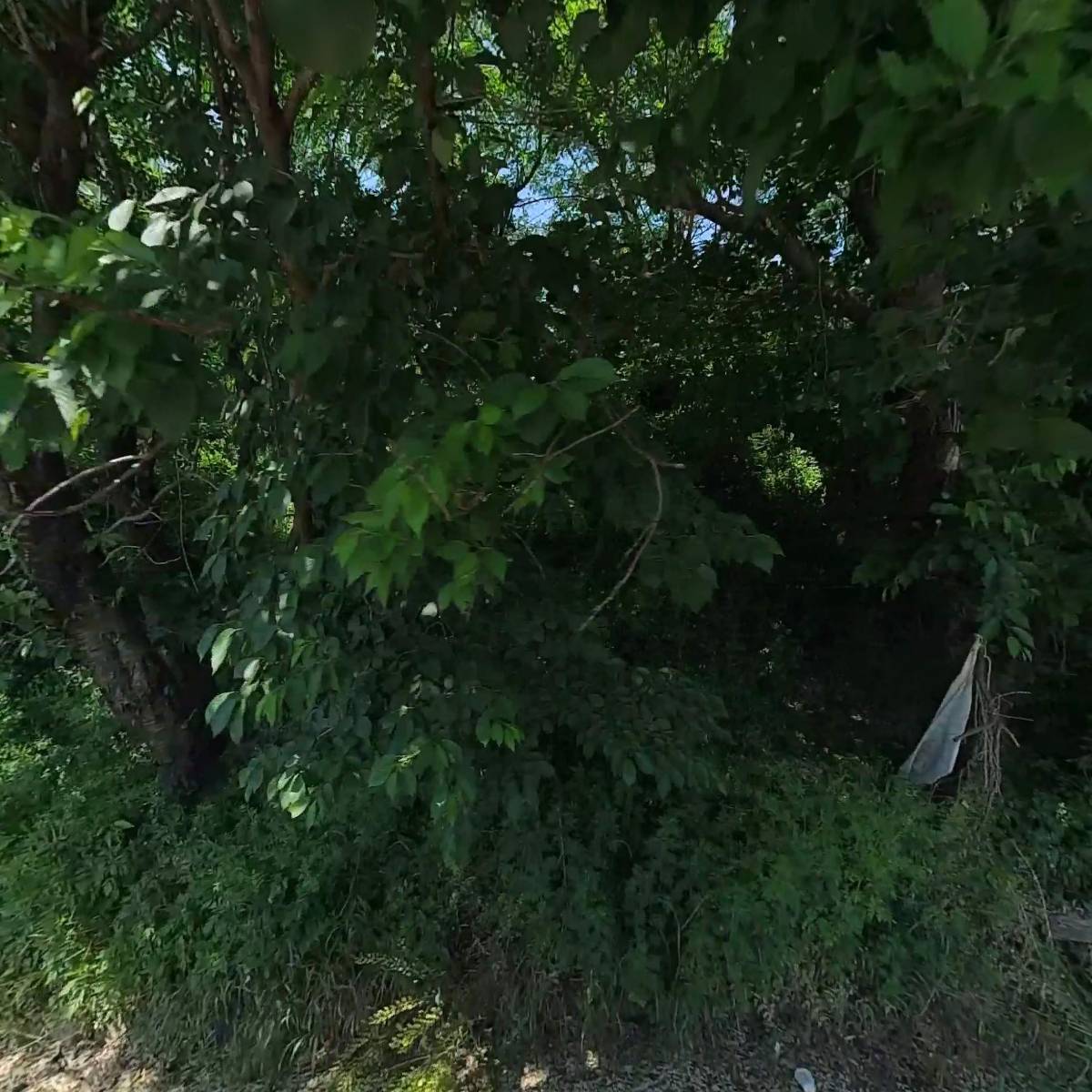 주식회사진성실업,(주)SMT