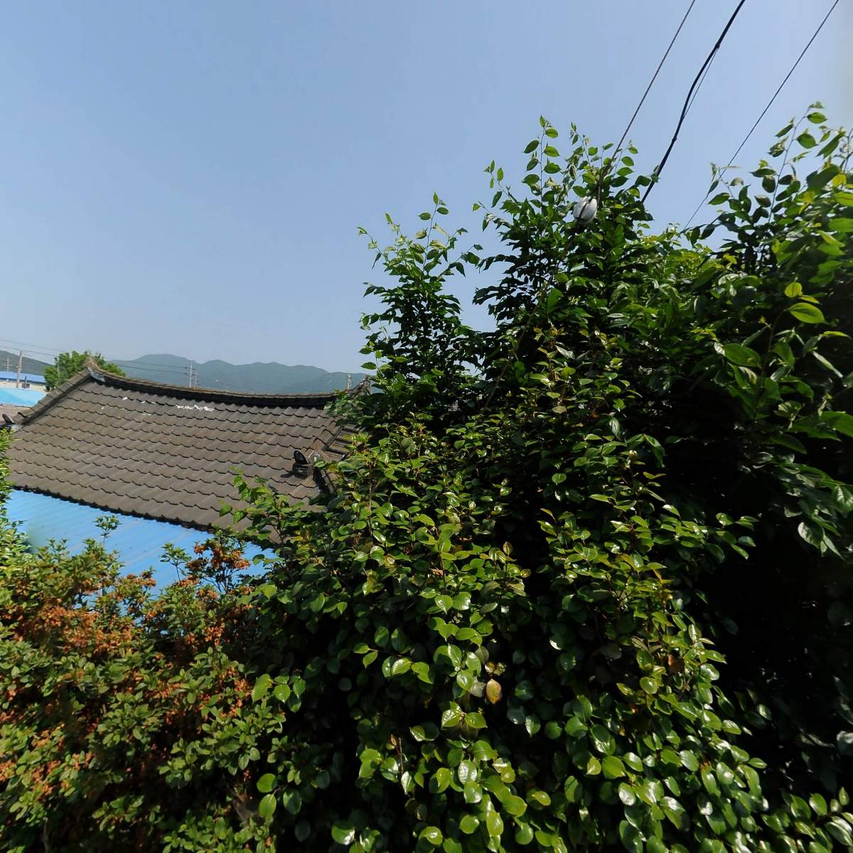 세곡도예 황토소금_3
