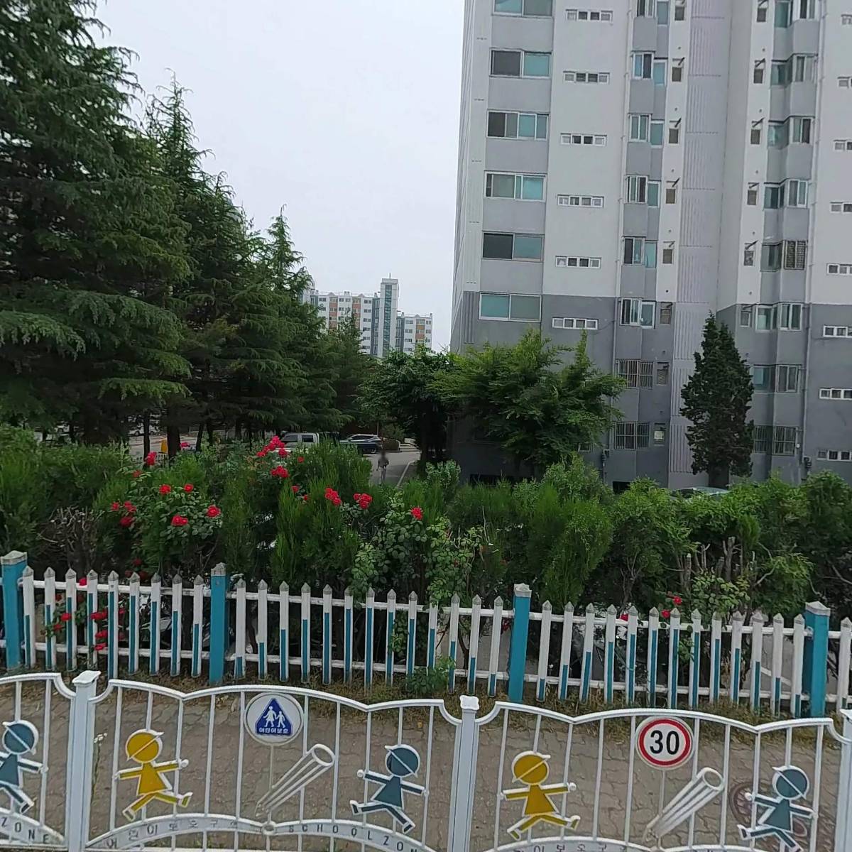 줌마쉐프