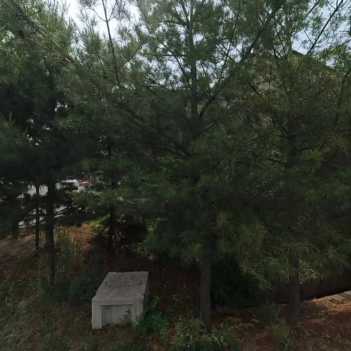 (주)진성케미텍 석곡공장