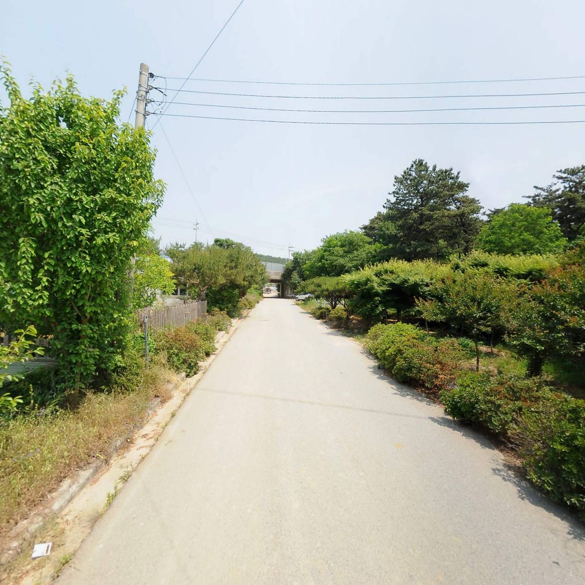 고창추레라（모양특수화물）_2