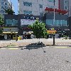 석진파아란（김명숙-507호）