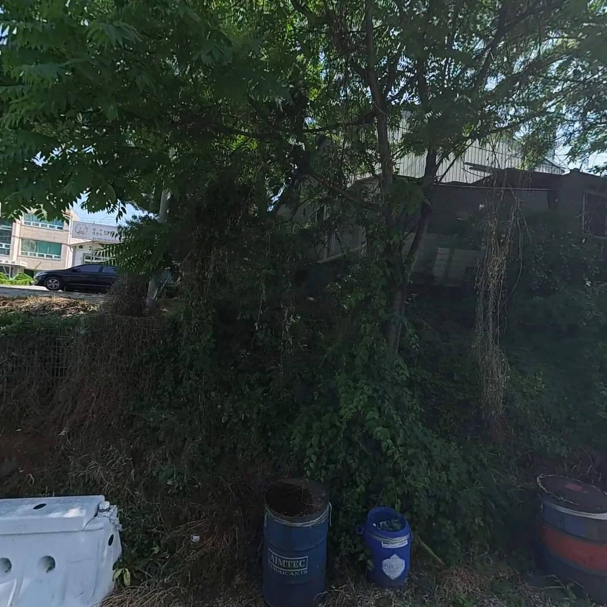 타이어 보이