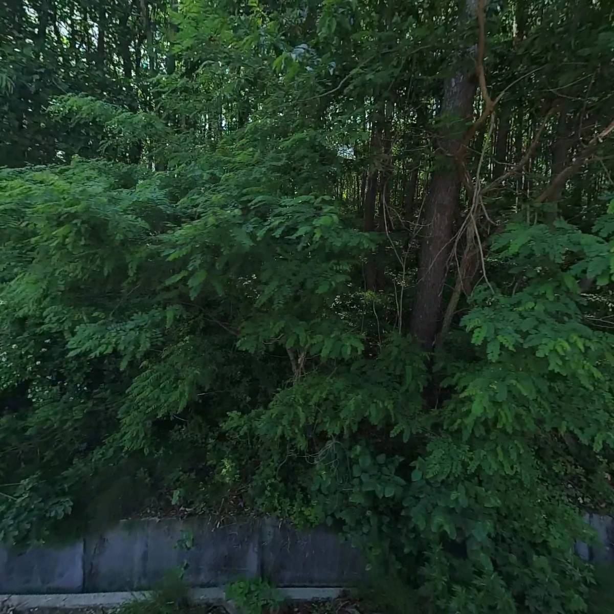 주식회사 씨에프티