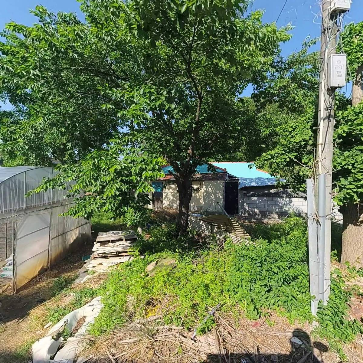 주식회사 디보