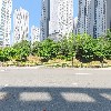 무모한초밥성성점_3