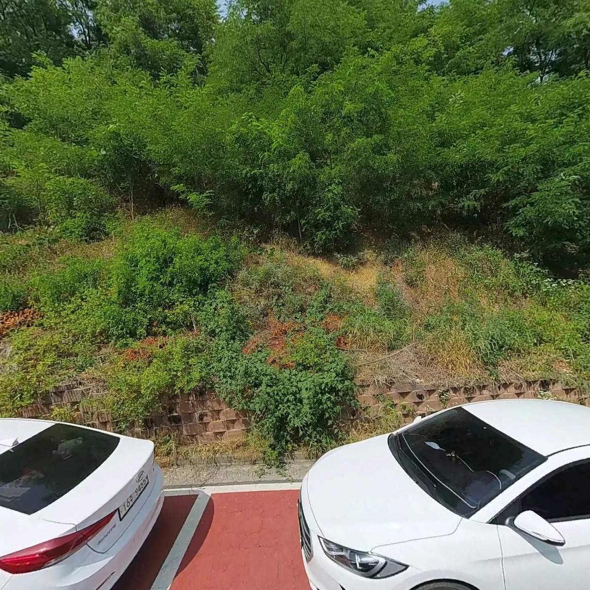주식회사 이엠넥스