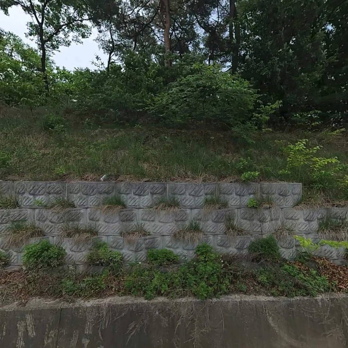 아산대우상사주식회사