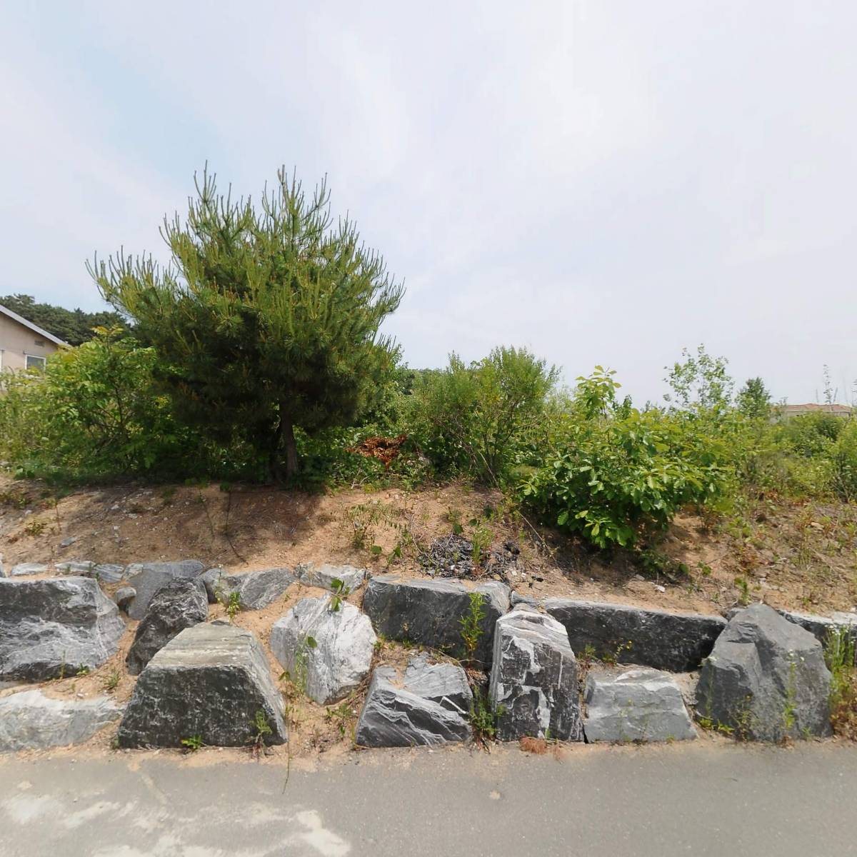 브레드 오브 라이프 교회